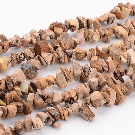 Arricraft Natural Picture Jasper Chips Beads Strands, 5~8mm, hole: about 0.3mm, 32~36 inches Long