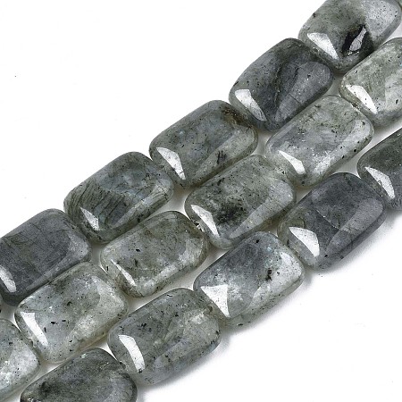 ARRICRAFT Natural Labradorite Beads Strands, Rectangle, 17.5~18.5x13~13.5x6~7mm, Hole: 1mm, about 22pcs/strand, 15.5 inches