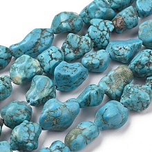 Arricraft Natural Howlite Beads Strands, Dyed & Heated, Chip, 10~13x7~11mm, Hole: 1.2mm, about 30pcs/strand, 14.96 inches(38cm)