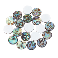 Natural Abalone Shell/Paua Shell Cabochons, with Freshwater Shell, Flat Round, Colorful, 12x3mm; 20pcs/box