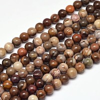 Arricraft Natural Petrified Wood Round Bead Strands, 6mm, Hole: 1mm, about 63pcs/strand, 15 inches