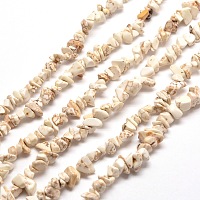 ARRICRAFT Magnesite Chip Bead Strands, Dyed, 5~8x5~8mm, Hole: 1mm, about 31.5 inches