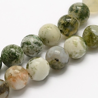 Honeyhandy Natural Tree Agate Beads Strands, Round, 12mm, Hole: 1mm, about 32pcs/strand, 15.3 inch(39cm)