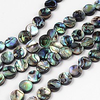 Natural Abalone Shell/Paua Shell Beads Strands, Flat Round, Colorful, 10x3mm, Hole: 0.5mm, about 40pcs/strand, 16 inch