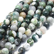 Honeyhandy Natural Tree Agate Beads Strands, Round, 8mm, Hole: 1mm, about 49pcs/strand, 15.75 inch(40cm)