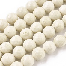 Honeyhandy Natural Fossil Round Bead Strands, Faceted, Beige, 10mm, Hole: 1mm, about 37pcs/strand, 15.5 inch