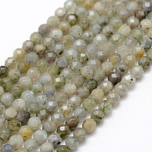 Honeyhandy Natural Labradorite Beads Strands, Round, Faceted, 4mm, Hole: 1mm, about 107pcs/strand, 15.1 inch(38.5cm)