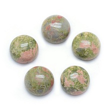 Honeyhandy Natural Unakite Cabochons, Half Round, 10x4~5mm