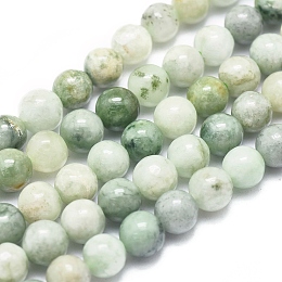 Honeyhandy Natural Myanmar Jade/Burmese Jade Beads Strands, Round, 6mm, Hole: 0.5mm, about 66pcs/Strand, 15.75 inch(40cm)