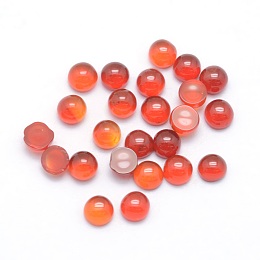 Honeyhandy Natural Carnelian Cabochons, Half Round, 3x1.8~2mm