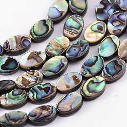 Honeyhandy Natural Abalone Shell/Paua Shell Beads Strands, Oval, Colorful, 12x8x3mm, Hole: 0.5mm