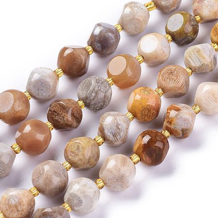 ARRICRAFT Natural Fossil Coral Beads Strands, with Seed Beads, Six Sided Celestial Dice, 10~10.5x10~10.5mm, Hole: 1mm, about 32~35pcs/strand, 15.55~15.74inches(39.5~40cm)