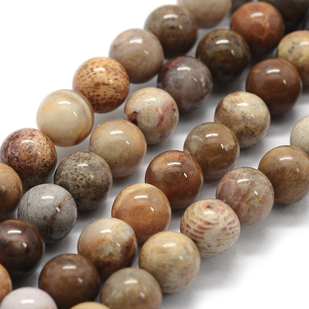 Honeyhandy Natural Fossil Coral Beads Strands, Round, 8~8.5mm, Hole: 0.8mm, about 45pcs/strand, 15 inch(38cm)