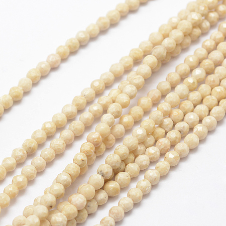 Honeyhandy Natural Fossil Beads Strands, Faceted, Round, 4mm, Hole: 1mm, about 116pcs/strand, 15.5 inch