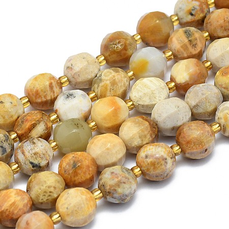 ARRICRAFT Natural Fossil Coral Beads Strands, Round, Faceted, 9~10mm, Hole: 1.4mm, about 34pcs/Strand, 15.16 inches(38.5cm)