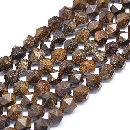 ARRICRAFT Natural Bronzite Beads Strands, Star Cut Round Beads, Faceted, 10x10mm, Hole: 1mm, about 35~40pcs/strand, 15.74 inches