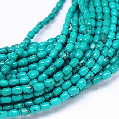 Honeyhandy Natural Howlite Oval Bead Strands, Dyed & Heated, Turquoise, 6x4mm, Hole: 1mm, about 69pcs/strand, 15.55 inch